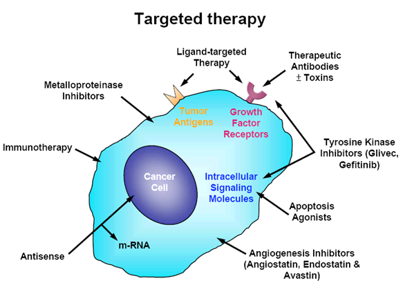 What Is Targeted Therapy For Cancer All About?