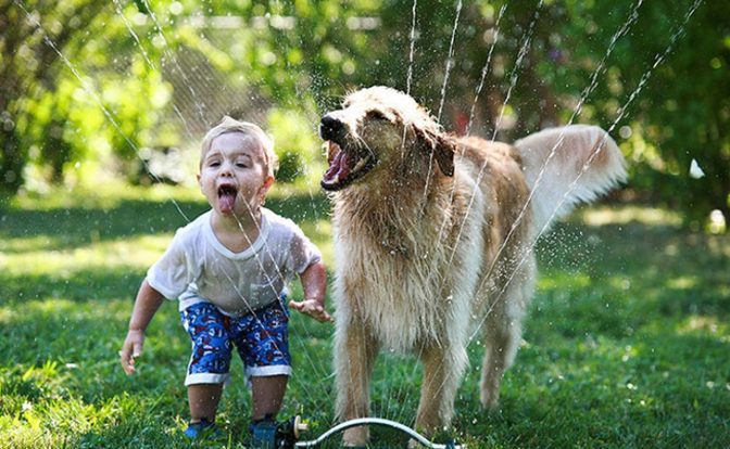 5 Reasons to Get Your Kid a Pet