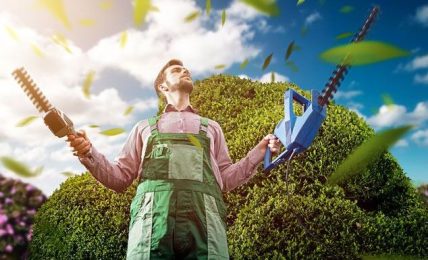 Master Gardeners 3 Ways To Dispose Of Your Garden Rubbish