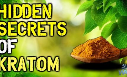 Things You Don’t Know About Kratom