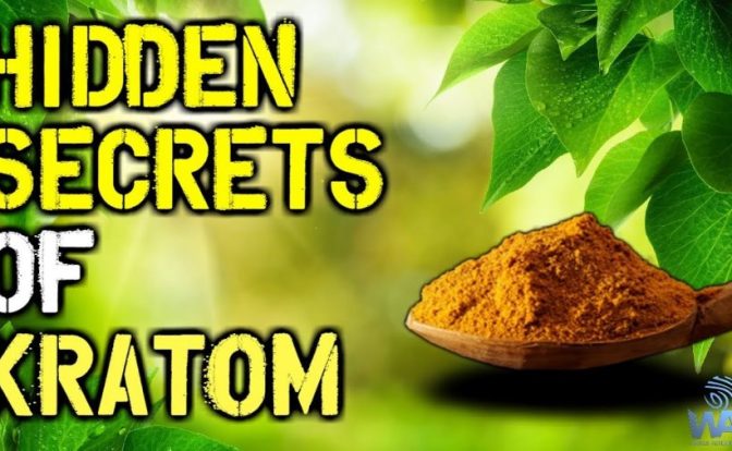 Things You Don’t Know About Kratom