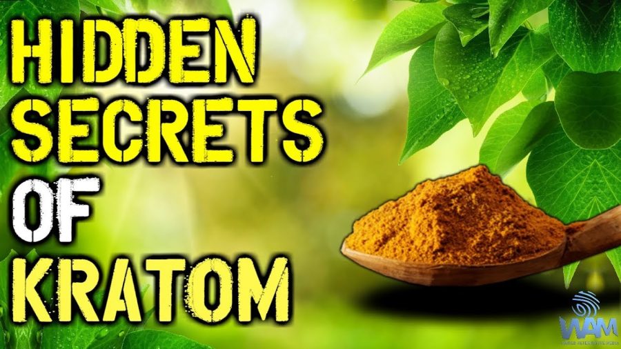 Things You Don’t Know About Kratom