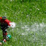 3 Things To Check Before Turning On Your Sprinkler System