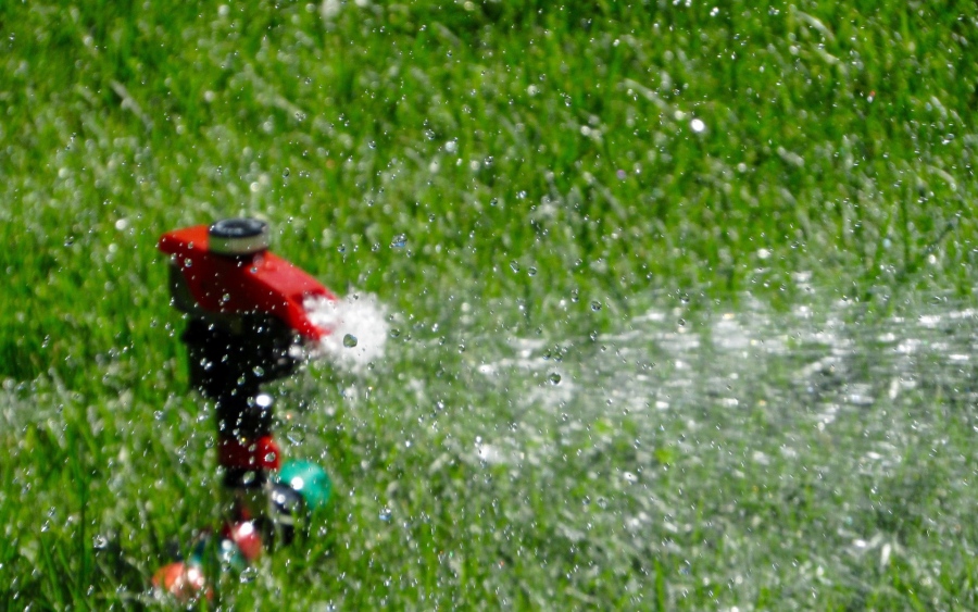 3 Things To Check Before Turning On Your Sprinkler System