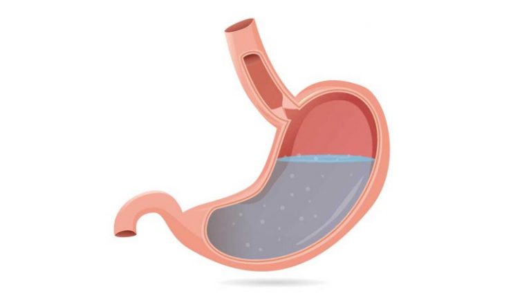 Composition And Function Of Gastric Juice