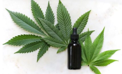 4 Things You Need to Be Ready for Before You Buy CBD Tinctures