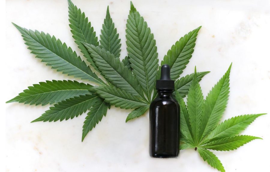 4 Things You Need to Be Ready for Before You Buy CBD Tinctures