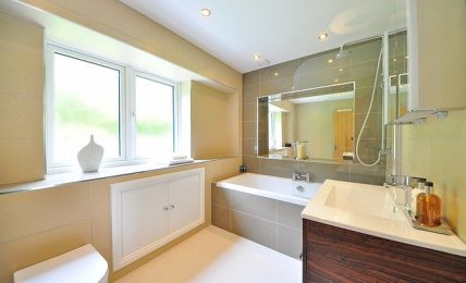 Still Struggling With Your Bathroom Planning Options? Looking for Ideas?